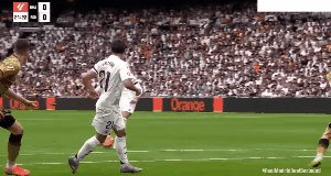 rma rso 2.gif