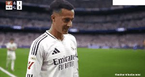 rma rso 7.gif